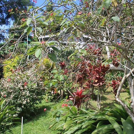 Gingerbread Cottage And Studio Fiji Savusavu Ngoại thất bức ảnh