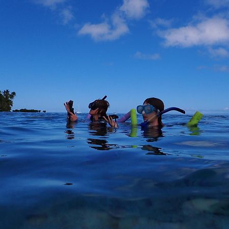 Gingerbread Cottage And Studio Fiji Savusavu Ngoại thất bức ảnh