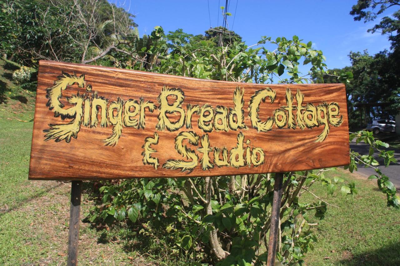 Gingerbread Cottage And Studio Fiji Savusavu Ngoại thất bức ảnh