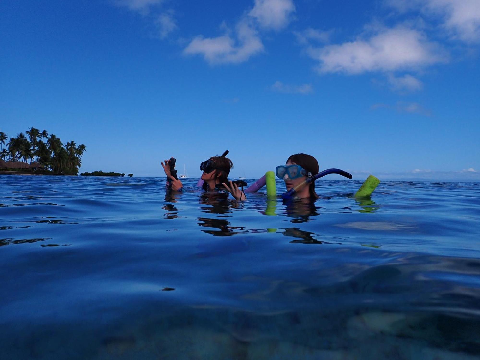Gingerbread Cottage And Studio Fiji Savusavu Ngoại thất bức ảnh